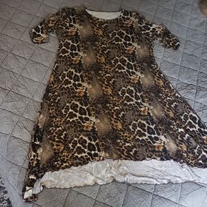 Leopard Print Swing Dress